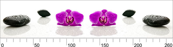 Скинали: цветы и камни
