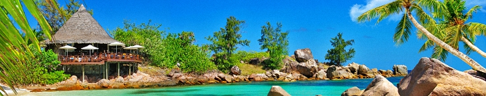 Тропики, залив. Рисунок для скинали.