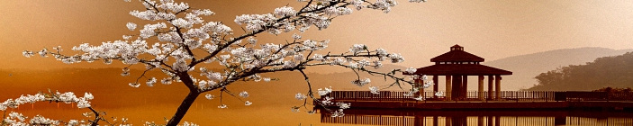 Сакура, туманное утро, беседка в японском стиле на фоне гористой местности. Скинали.