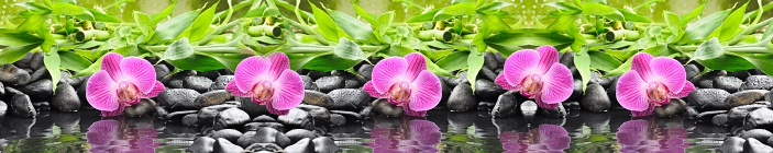 Орхидеи и галька около воды.