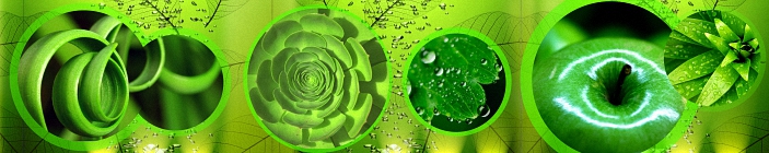 Скинали на кухню в зеленых тонах.