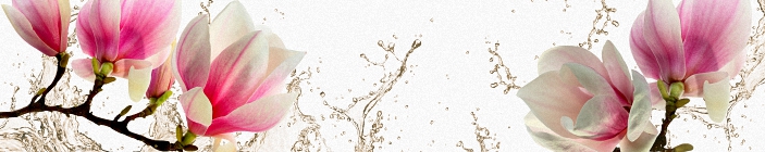 Скинали. Бело-розовые цветы.