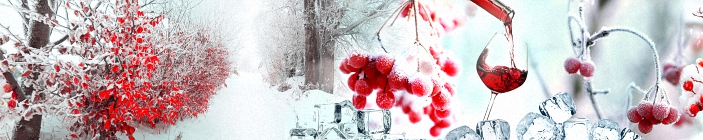 Скинали. Зима, рябина на фоне снега, кубики льда.