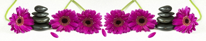 Скинали. Хризантемы и черные камни.